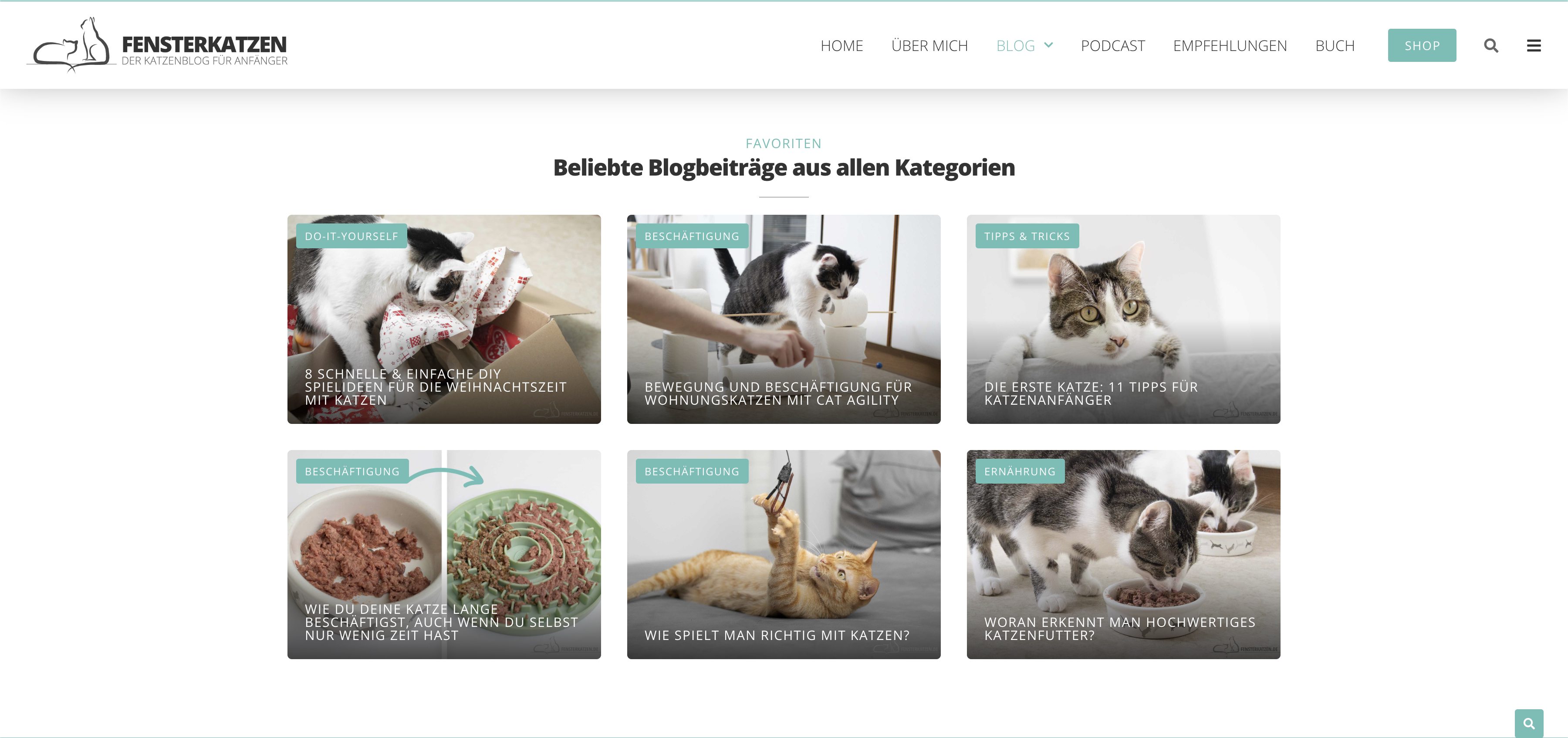 Fensterkatzen